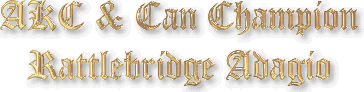Am & Can Ch Rattlebridge Adagio