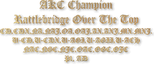 Ch Rattlebridge Over The Top