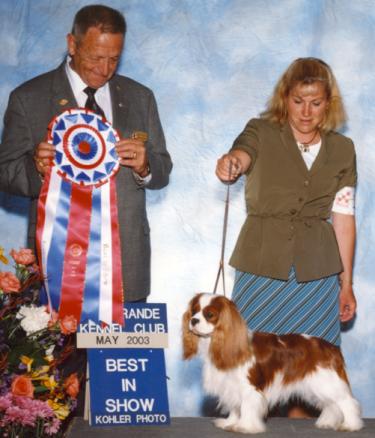 adagiobis1.jpg (375x438 -- 29454 bytes)