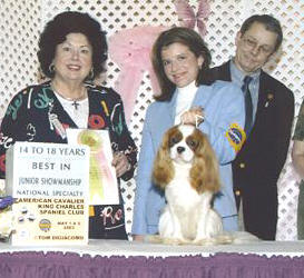 adagiojunior2003.jpg (273x250 -- 20584 bytes)