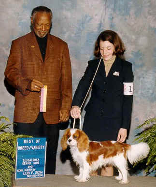 Ch Rattlebridge Adagio