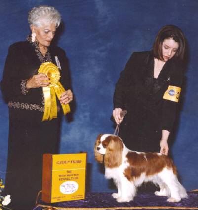 adagiosunnigroup3lg.jpg (401x426 -- 27620 bytes)