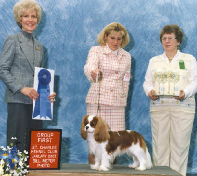 giosunnistand.jpg (397x354 -- 31960 bytes)