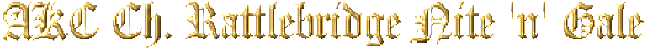 nitengale.gif (584x44 -- 9578 bytes)