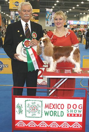 Rattlebridge Farm, home of lovely Cavaliers!