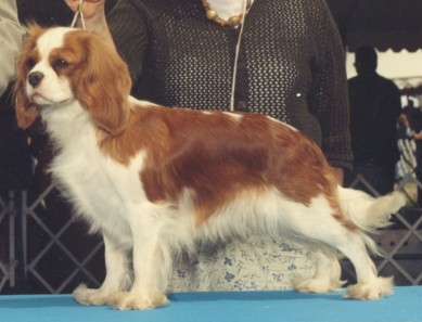 smudge.jpg (389x297 -- 30182 bytes)